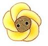 Tiny Buttercup